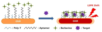 Intercalation agent with single aptamer를 이용한 검출 모식도