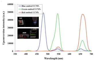 근 적외선 조사 하에 발광되는 UCNP의 상향변환 발광 스펙트럼 및 발광 이미지