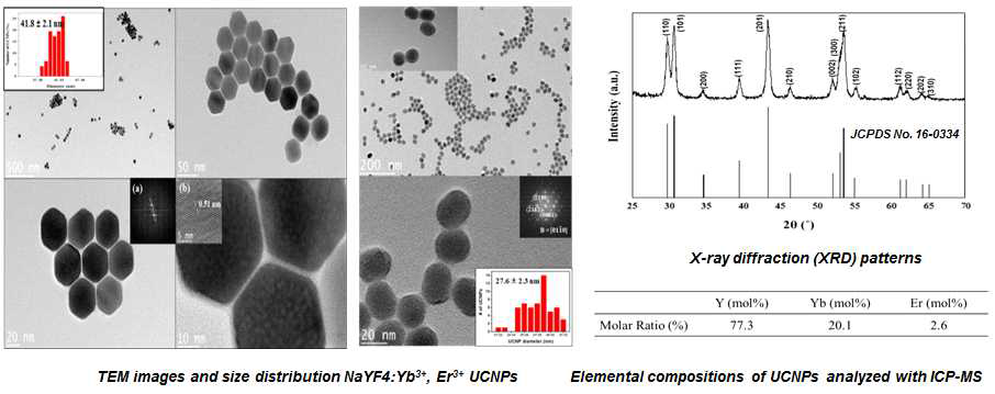 합성된 UCNP의 다양한 분석법 (TEM, XRD, ICP-MS)