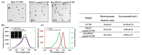 UNCP 표면 개질 및 광학 특성 분석 (TEM이미지, 발광 및 흡광 그래프, 크기 및 표면 전하)