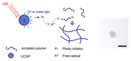 UCNP의 UV발생 효과를 통한 하이드로겔 제조 모식도 및 이미지