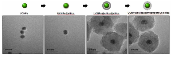 광민감제 로딩을 위한 UCNP의 다공성 실리카 코팅 과정