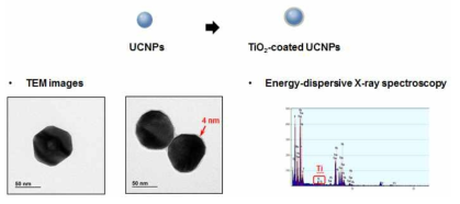 UC/TiO2NP의 TEM 이미지 및 EDX 분석
