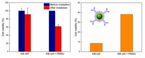 근적외선 (980 nm) 조사 하에 antibody-UC(PSZ)의 암세포 사멸