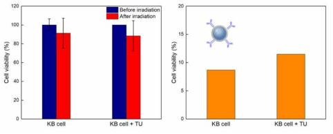 근적외선 (980 nm) 조사 하에 UC/TiO2NP의 암세포 사멸