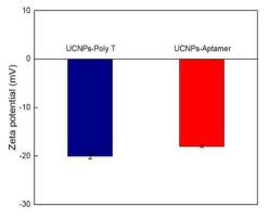 Zeta-potenial을 통한 UCNP의 표면개질 상태 확인