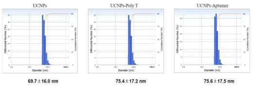 DLS를 통한 UCNP의 표면개질 상태 확인