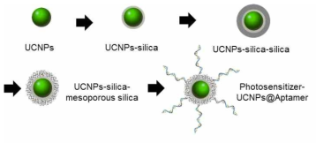 광민감제가 로딩된 UCNP-aptamer 복합체 합성 전략
