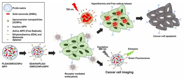 HPNs-PLGA/AIPH/Aptamer 나노 복합체를 통한 암 치료 및 이미징 모식도