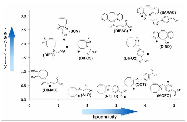 Cyclooctyne 화합물의 반응성 및 친유성