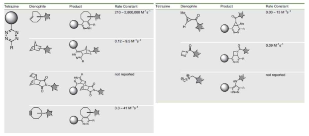 Tetrazine과 다양한 dienophile 간의 상대 반응속도 비교