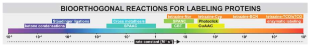 현재까지 발표된 Bioorthogonal reactions의 상대속도 비교