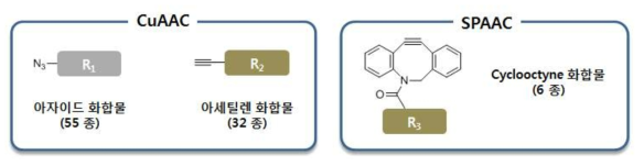 CuAAC와 SPAAC에 관련된 케미컬 제품 ㈜퓨쳐켐.