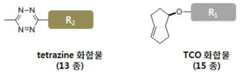 Tetrazine-TCO IeDDA에 관련된 케미컬 제품 ㈜퓨쳐켐