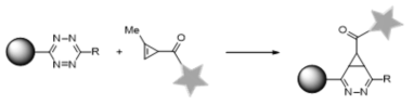 테트라진-cyclopropene 고리화반응 개념도