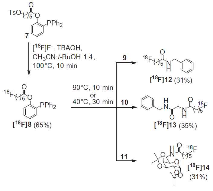 Staudinger ligation법을 이용한 18F 동위원소 표지