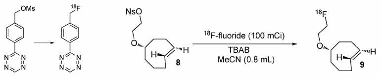 Tetrazine-TCO 컨쥬케이션 방법을 이용한 18F-표지 연구