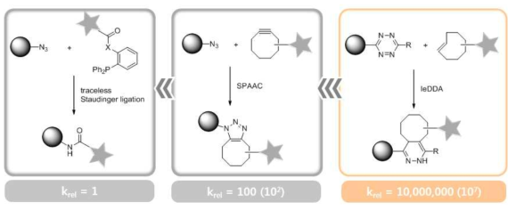 대표적인 bioorthogonal conjugation 방법과 상대적 반응속도