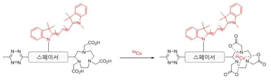 형광색소를 결합한 tetrazine Radioligand 합성