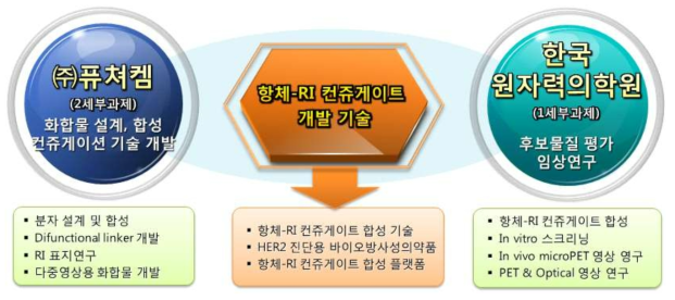 연구개발 추진체계 도식도