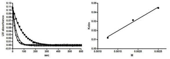 새로운 tetrazine conjugation 반응의 이차반응 속도 실험 결과