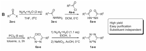 선택적인 비대칭 tetrazine 합성법 (Danzhu Wang et al.)