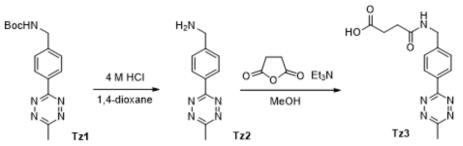 Tetrazine 화합물의 치환기 변환