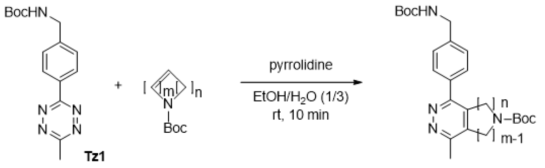 새로운 tetrazine conjugation 반응의 일반식