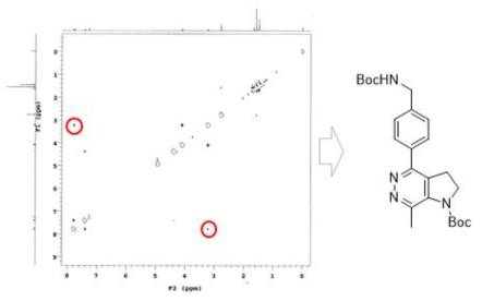 부생성물의 NOESY NMR 스펙트럼