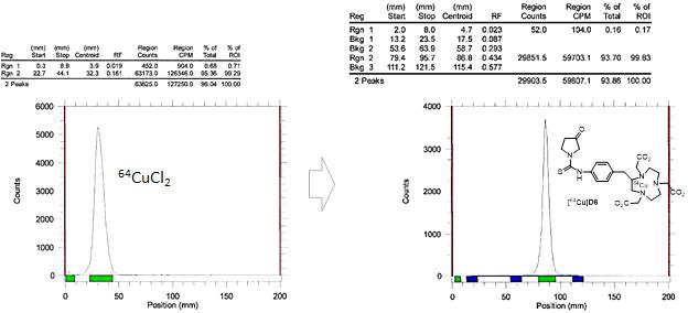 64CuCl2 (왼쪽)와 반응 후 [64Cu]D6의 Radio-TLC 분석 결과 (전개액: 30% H2O/MeCN)