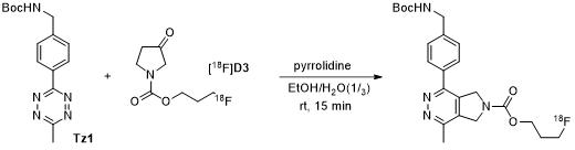 18F-표지 dienophile과 tetrazine과의 컨쥬게이션 반응