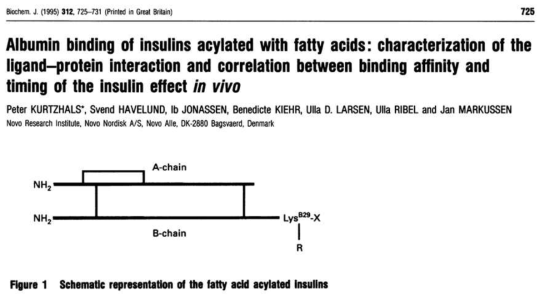 알부민-결합체를 이용한 인슐린 의약품 개발 논문