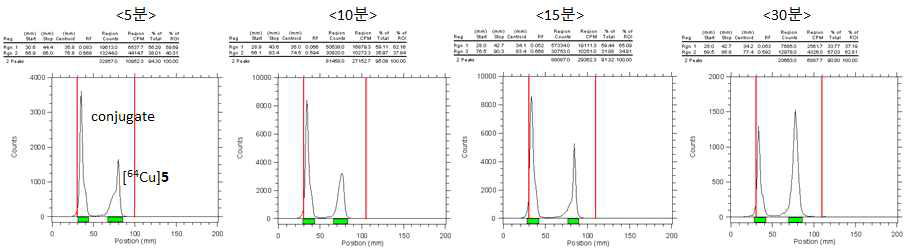 [64Cu]5의 in vitro conjugation 실험 결과 (Radio-TLC)