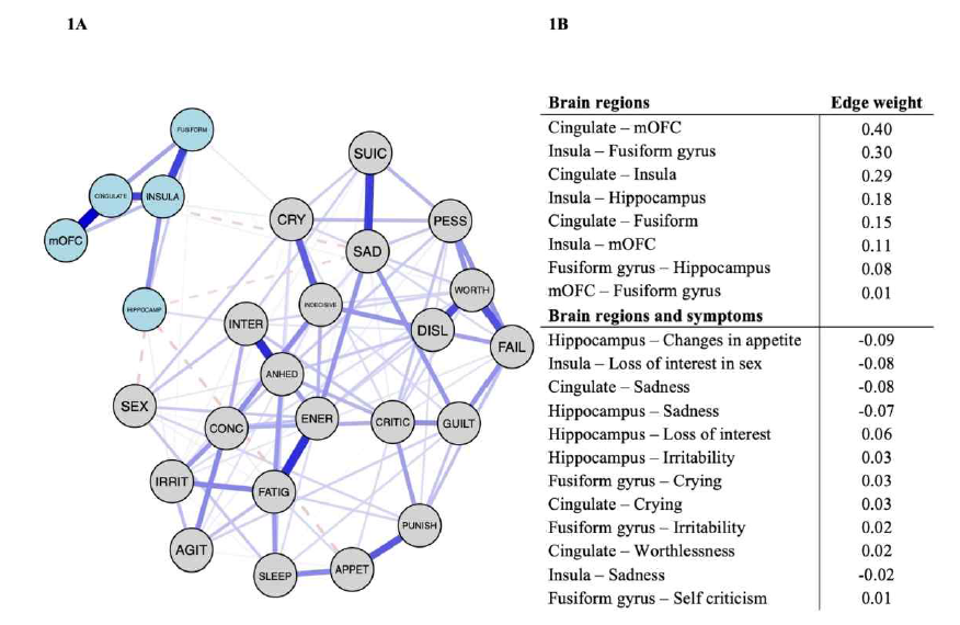 우울증상과 5개 뇌 영역 간 네트워크 분석