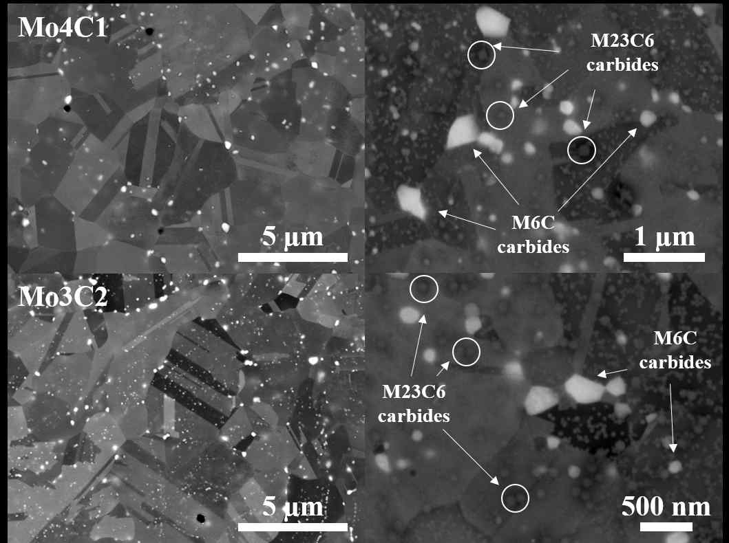 SEM-backscattered electron (BSE) image를 통한 미세조직 관찰