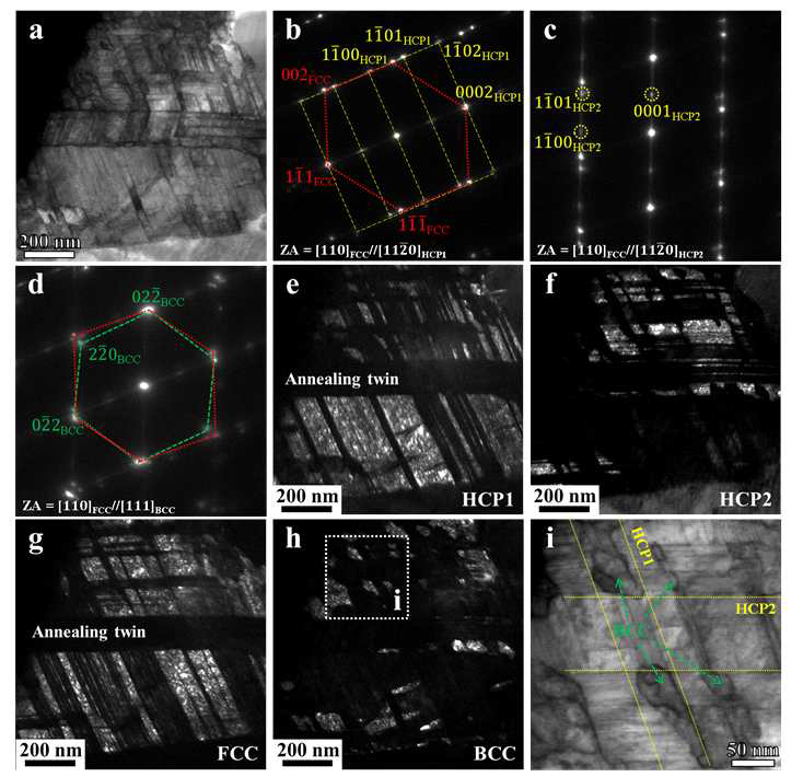 Mo5 합금의 4.2 K에서의 변형 유기 상변태: (a) TEM bright-field image 및 (b-d) 해당 회절 패턴. (e) HCP1, (f) HCP2, (g) FCC, (h) BCC의 각 회절 패턴에 해당하는 TEM image. (i) Two-variant HCP phase 교차점에서 형성되는 BCC를 보여주는 TEM image