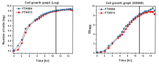 Hydrogenase 추출용 세포(FTH013, FTH004)의 Cell growth 곡선