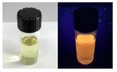 금 나노클러스터의 광학 사진(왼쪽) 및 형광 사진(오른쪽)