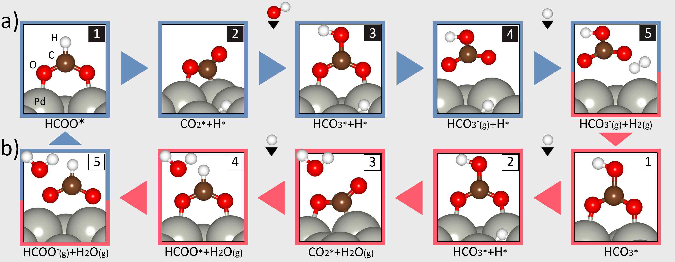 HCOO-/HCO3- reversible reactions