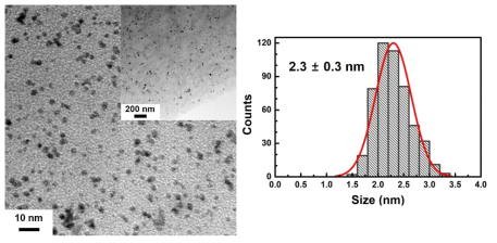 산화 그래핀 (graphene oxide, GO)상의 금속 복합 나노소재 (G6-NH2 Pt550/GO)의 열처리 후 (60℃, 12시간) 전자 현미경 사진과 크기 분포도