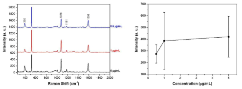 왼쪽 그림은 Amyloid beta 42 (Aβ42) 농도를 0.5, 1.0, 5.0 μL/mL로 변화시켰을 때의 Raman 신호, 왼쪽 그림은 농도에 따른 1078 cm-1에서 신호 세기 비교