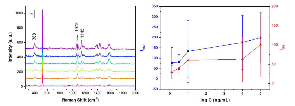 Aβ42 농도에 따른 Raman 신호(좌) 및 Aβ42 농도에 따른 388 cm-1와 1078 cm-1의 신호 세기(우)