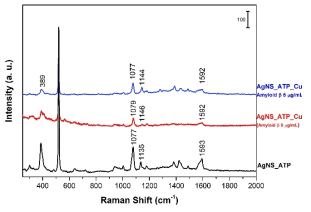 AgNS_ATP, AgNS_ATP_Cu (Amyloid beta 0 μL), AgNS_ATP_Cu (Amyloid beta 5 μL)의 Raman 신호, 1077 cm-1, 1144 cm-1, 1592 cm-1의 Raman shift는 각각 ν(CS), δ(CH), ν(CC)  의 Band assignment를 나타냄
