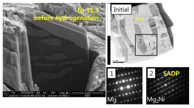 Ni11.3 시편의 수소화 반응 전의 SEM 및 TEM 미세조직