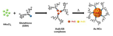 글루타티온을 주형으로 활용한 금 나노클러스터 촉매 합성법 개요