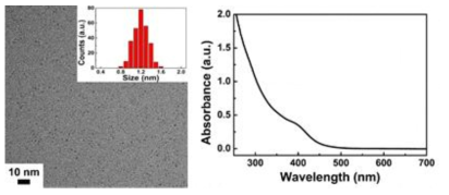 금 나노클러스터의 TEM(왼쪽) 및 UV-Vis 흡광스펙트럼(오른쪽)