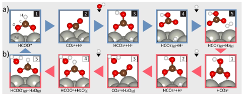 HCOO-/HCO3- reversible reactions