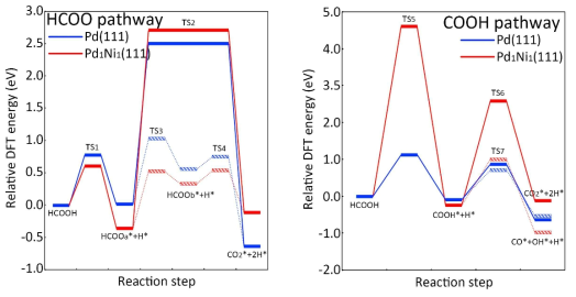 Activation energy diagram for HCOO and COOH pathway