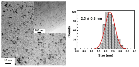 산화 그래핀 (graphene oxide, GO)상의 금속 복합 나노소재 (G6-NH2 Pt550/GO)의 사진