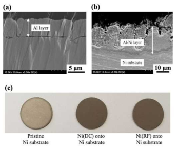 Ni 기재 및 PVD 전극 표면 SEM